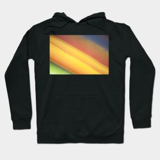 Abstract background - yellow orange green agate slice mineral Hoodie